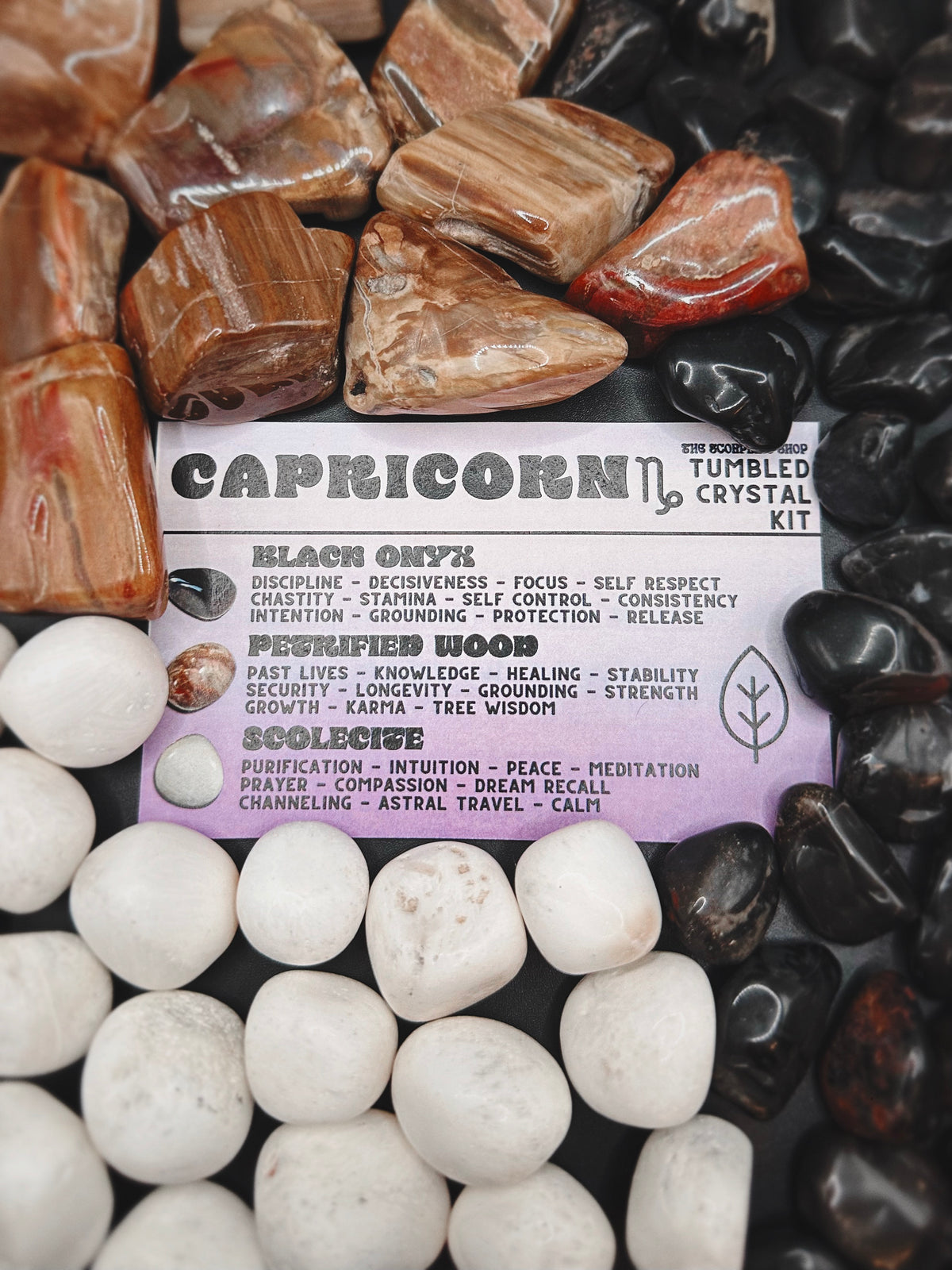 WHOLESALE ~ CAPRICORN ~ TUMBLED CRYSTAL KIT