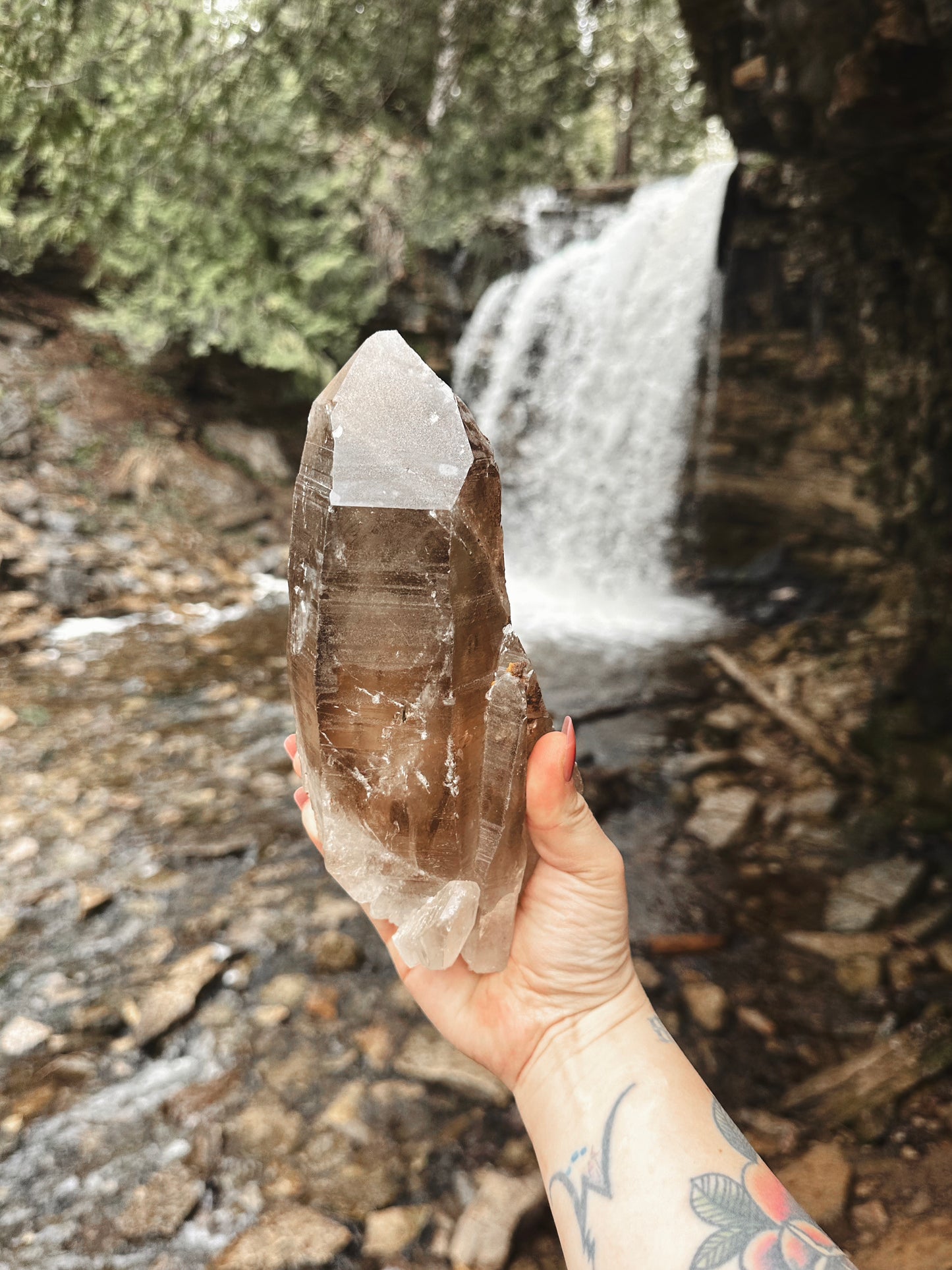 GOLIATH ~ SELF HEALED SMOKY LEMURIAN QUARTZ