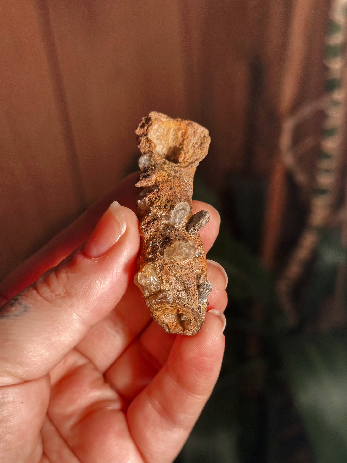 RARE ~ 22g. FULGURITE ~ PETRIFIED LIGHTNING