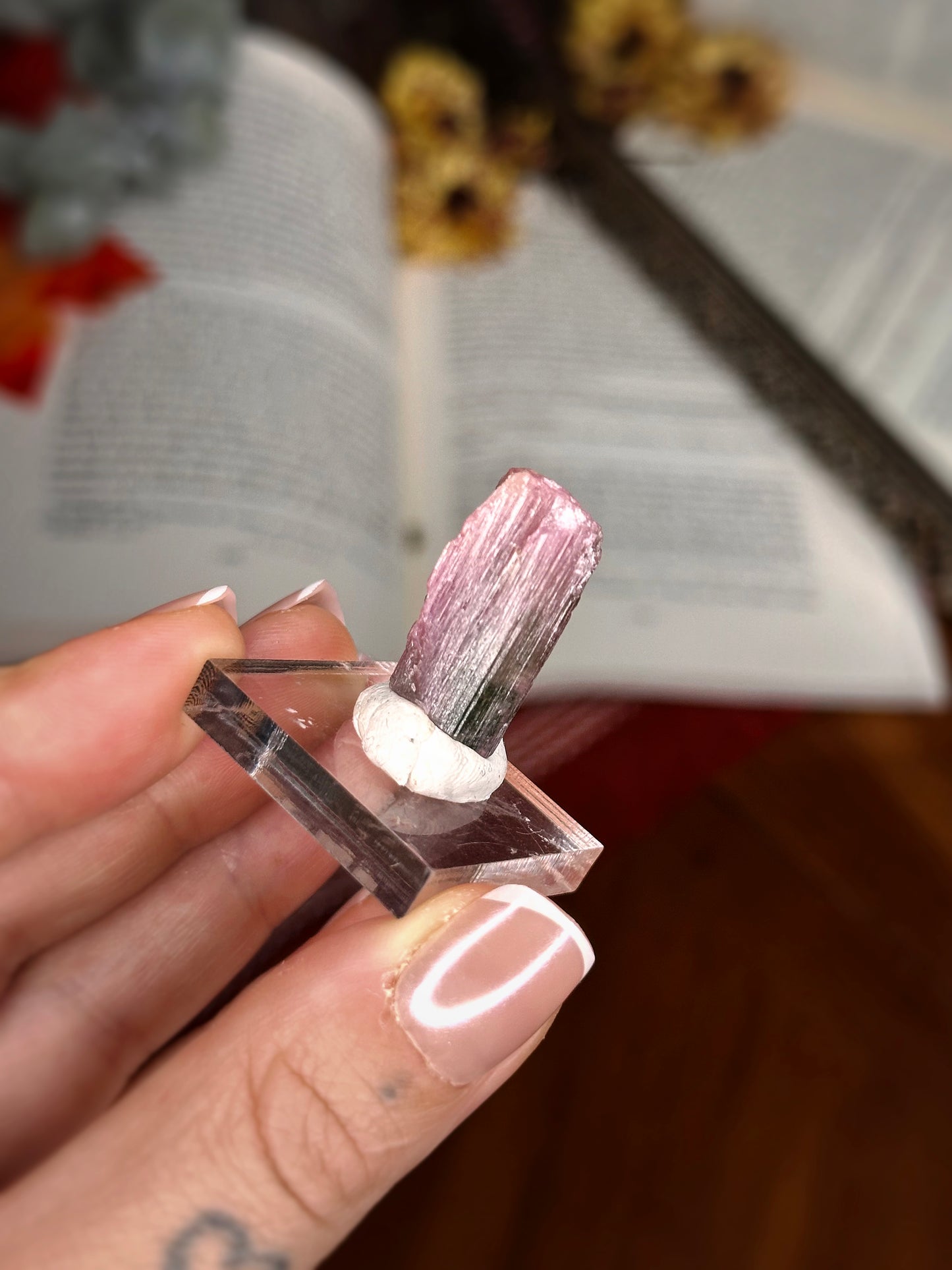 7.5g. WATERMELON TOURMALINE