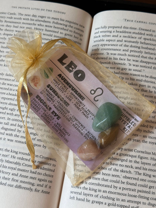 WHOLESALE ~ LEO ~ TUMBLED CRYSTAL KIT