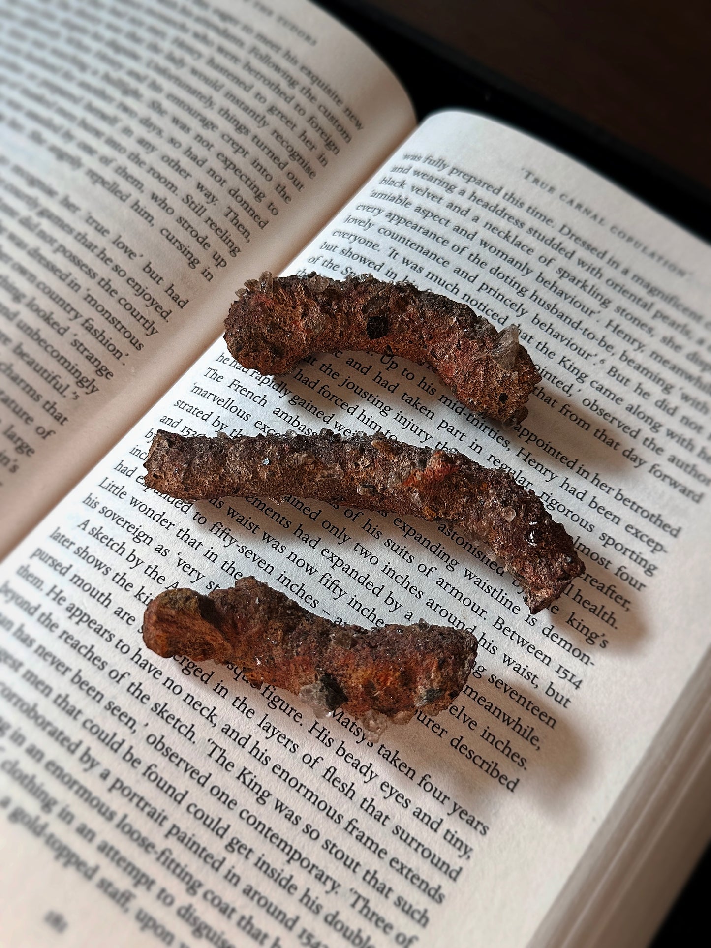 AMAZONIAN FULGURITE ~ PETRIFIED LIGHTNING ~ 1 PIECE