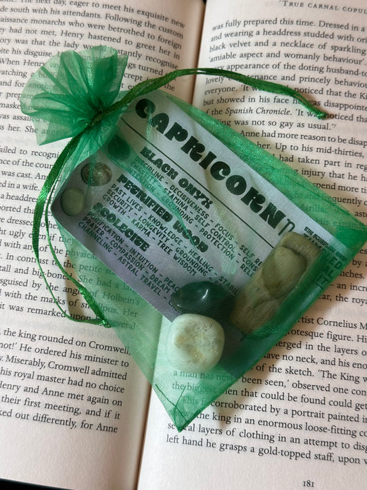 WHOLESALE ~ CAPRICORN ~ TUMBLED CRYSTAL KIT