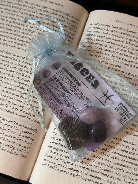 WHOLESALE ~ PISCES ~ TUMBLED CRYSTAL KIT