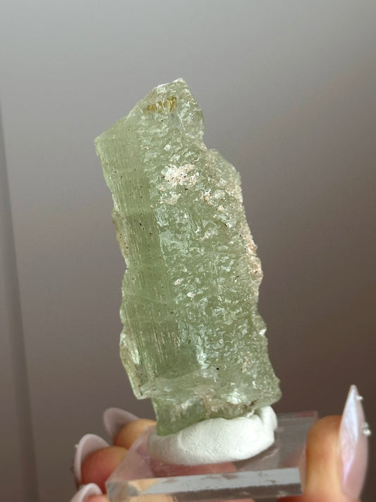 WATERS OF VENUS ~ 84g. GREEN BERYL