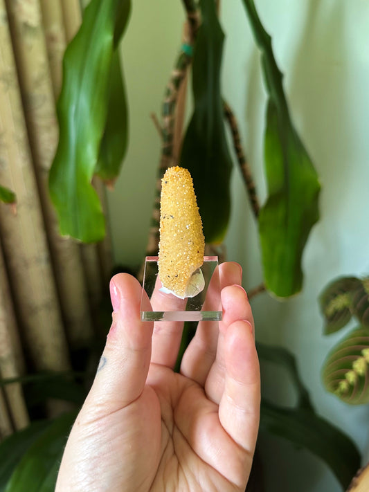 19g. GOLDEN SPIRIT QUARTZ