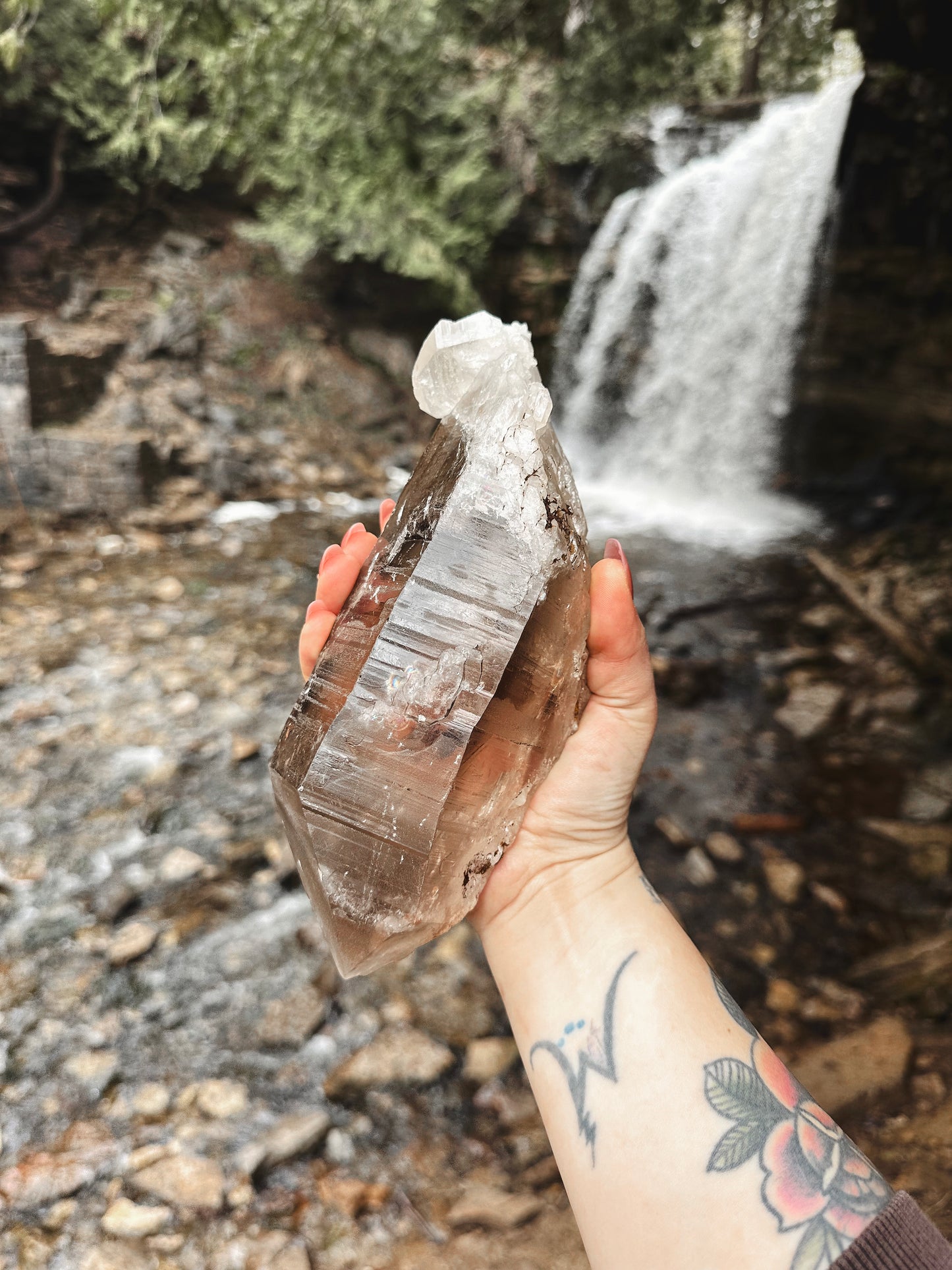 GOLIATH ~ SELF HEALED SMOKY LEMURIAN QUARTZ