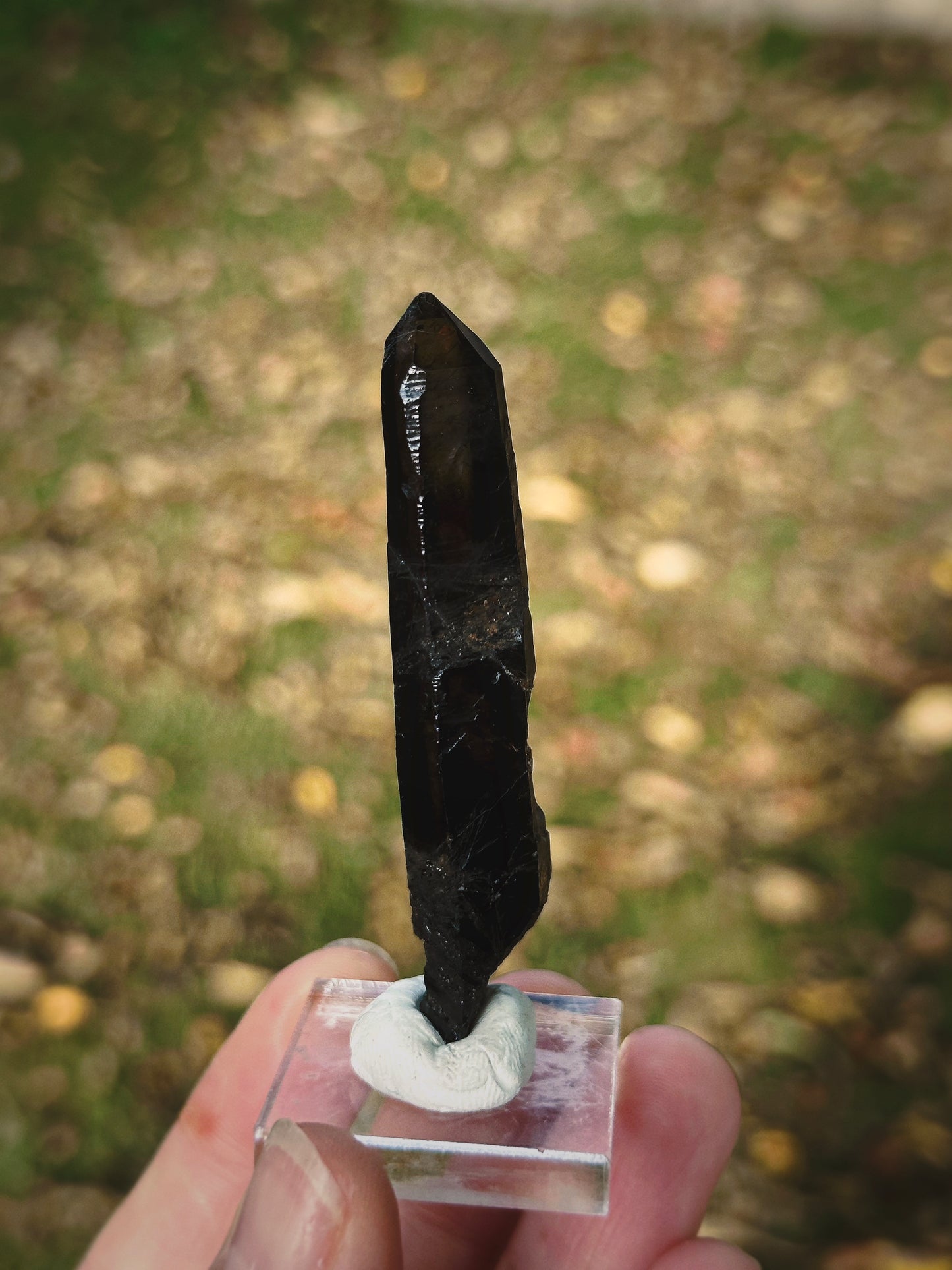 BLACK MONGOLIAN QUARTZ