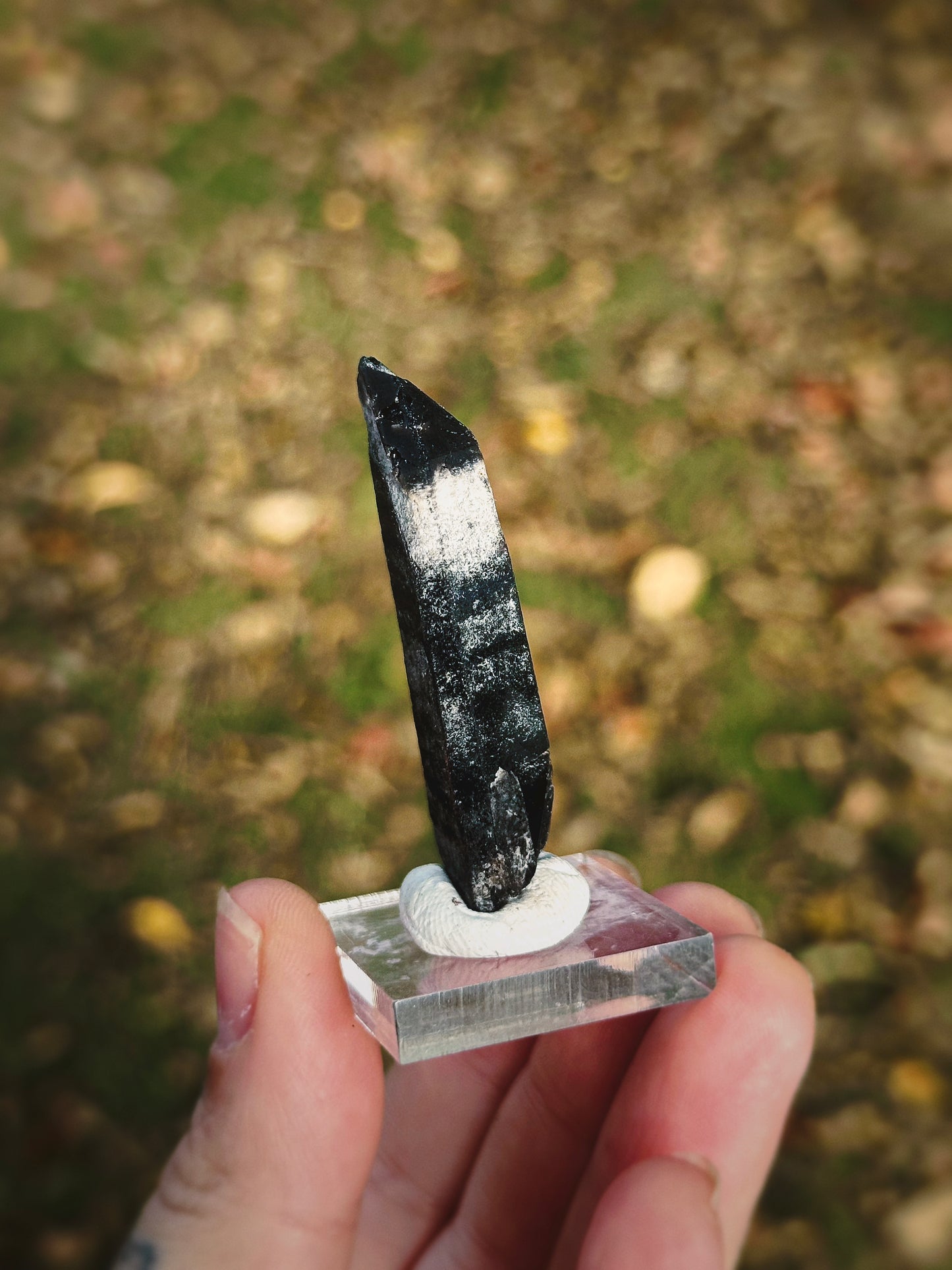 BLACK MONGOLIAN QUARTZ