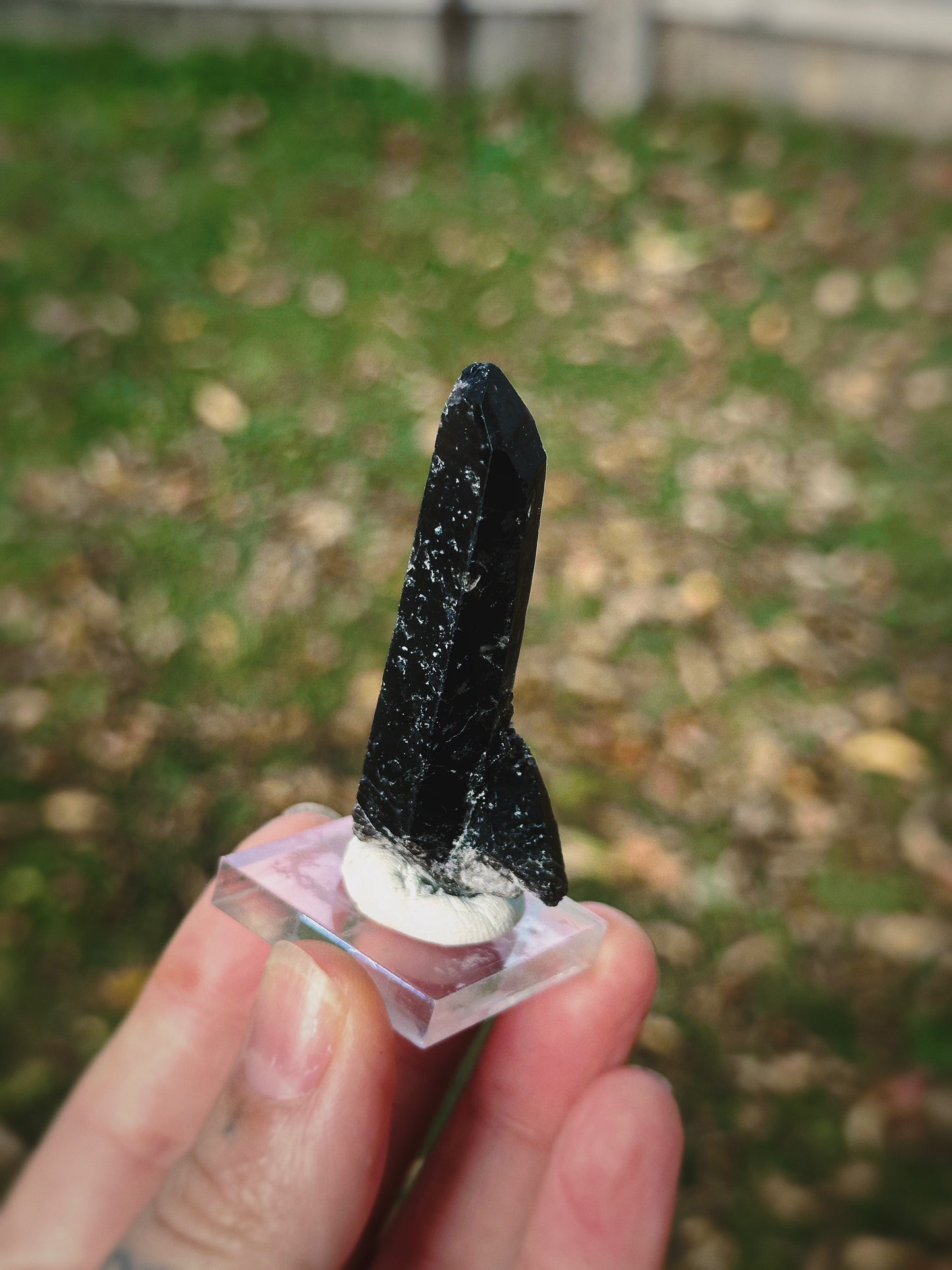 BLACK MONGOLIAN QUARTZ