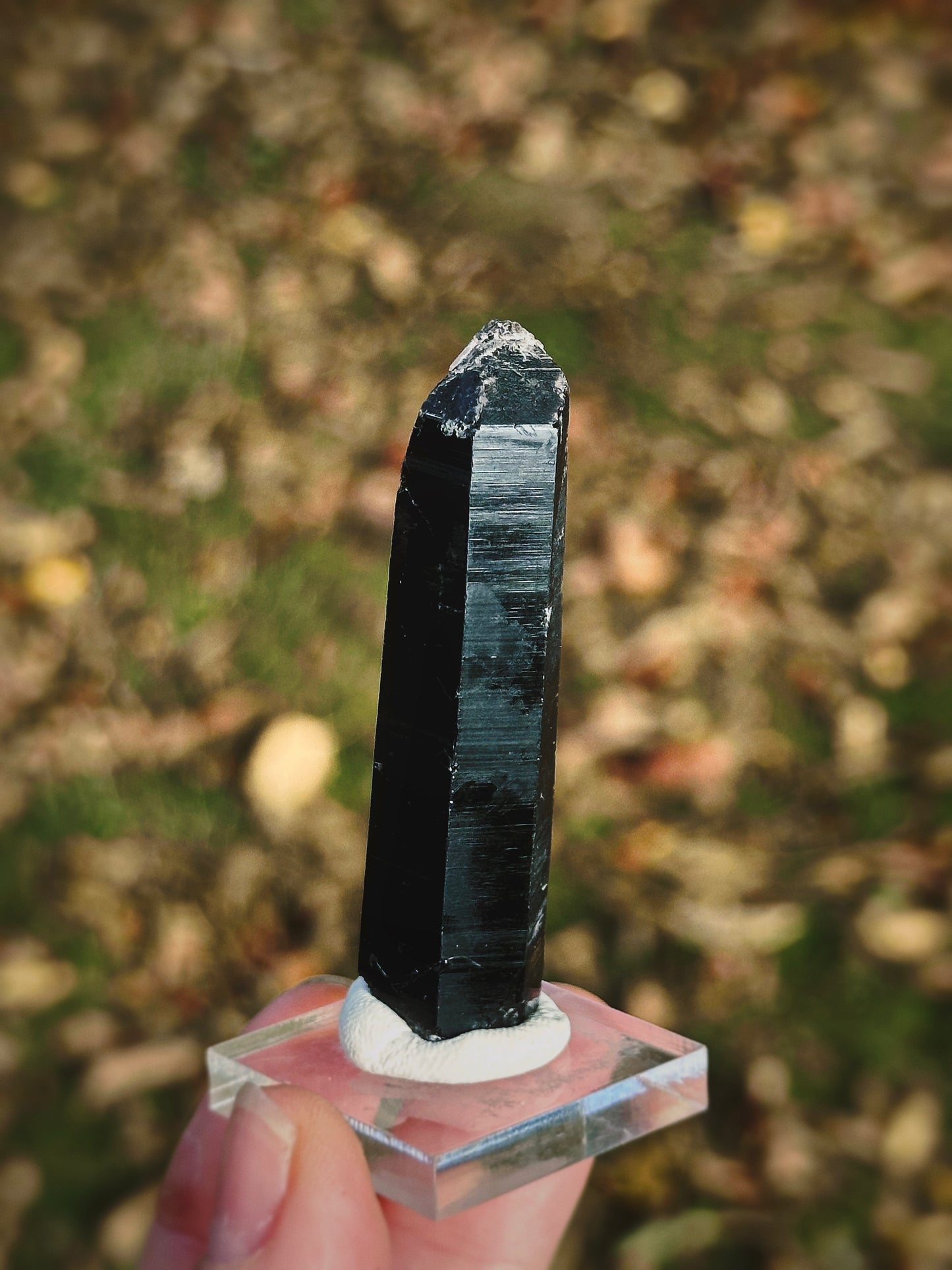 BLACK MONGOLIAN QUARTZ