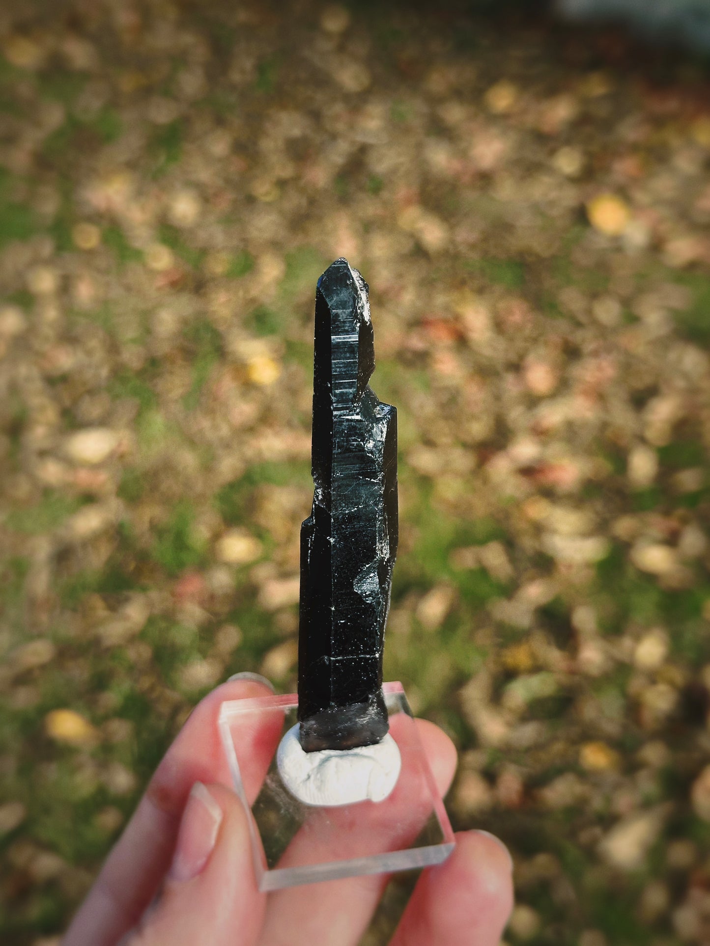 BLACK MONGOLIAN QUARTZ