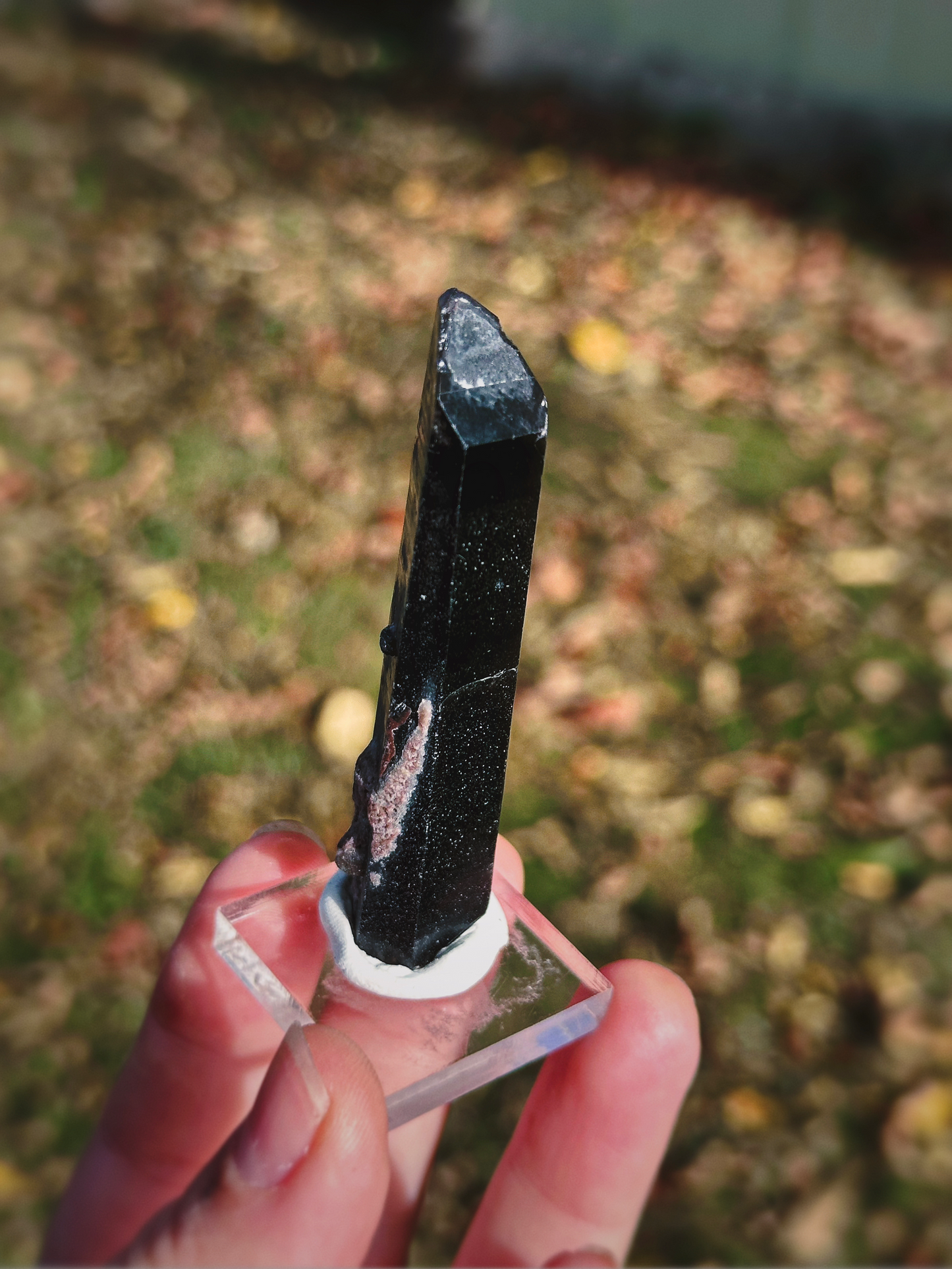 BLACK MONGOLIAN QUARTZ