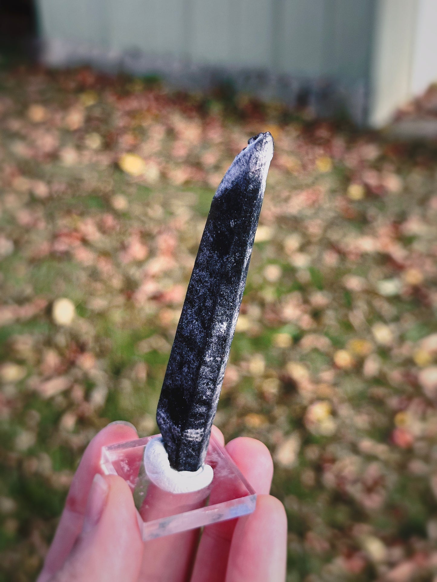 BLACK MONGOLIAN QUARTZ