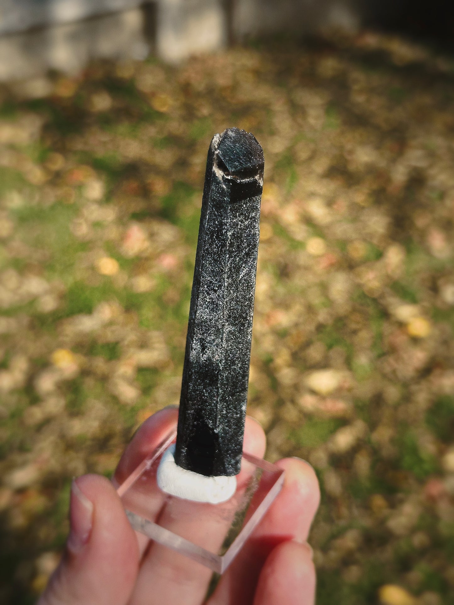 BLACK MONGOLIAN QUARTZ