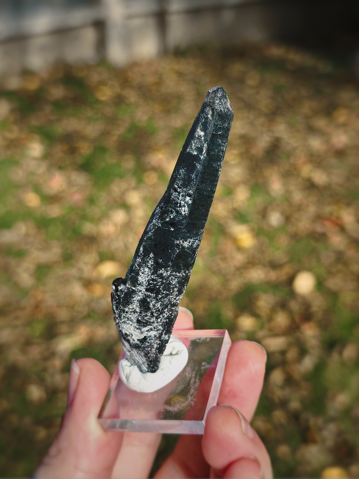 BLACK MONGOLIAN QUARTZ