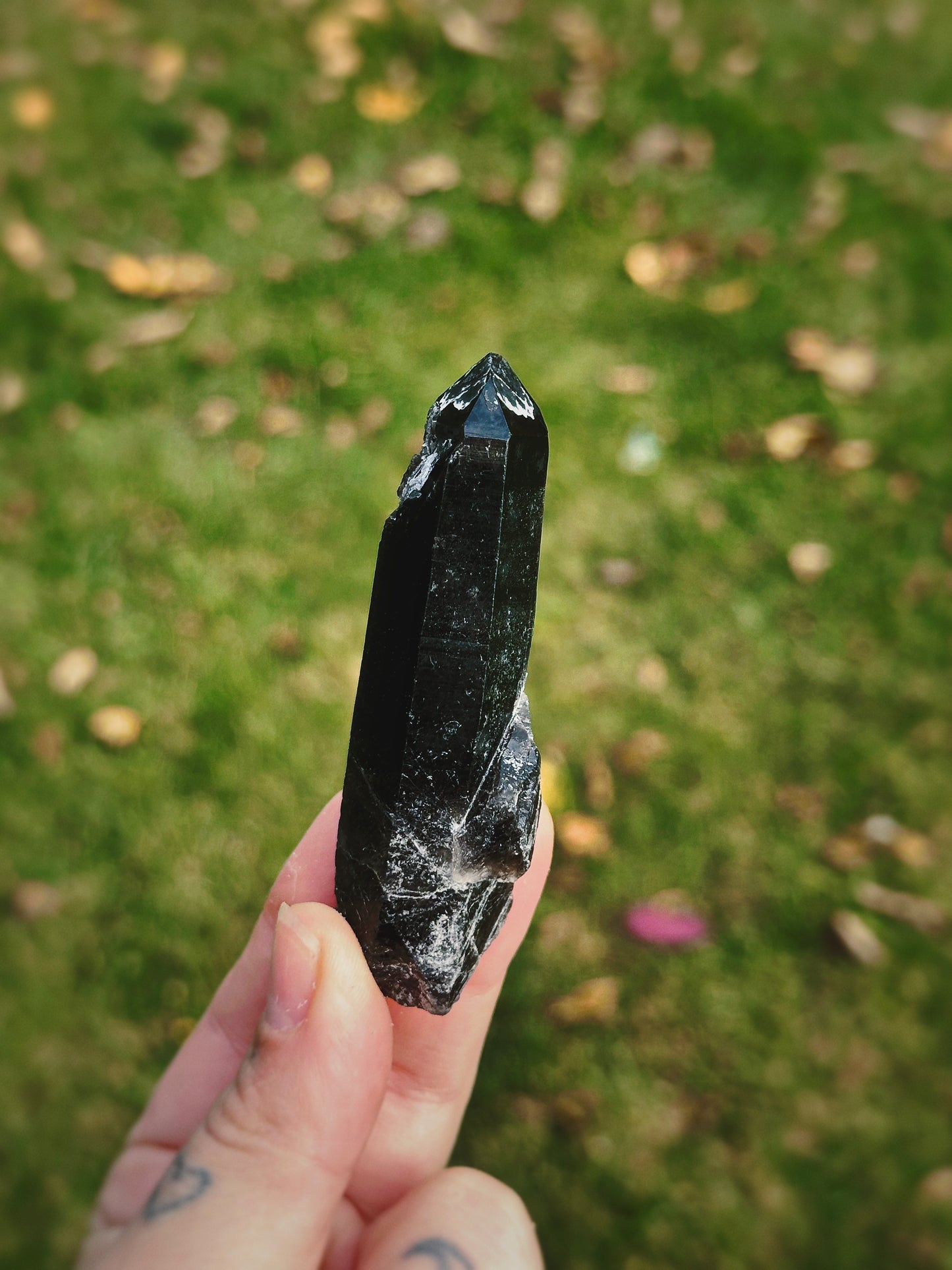 BLACK MONGOLIAN QUARTZ