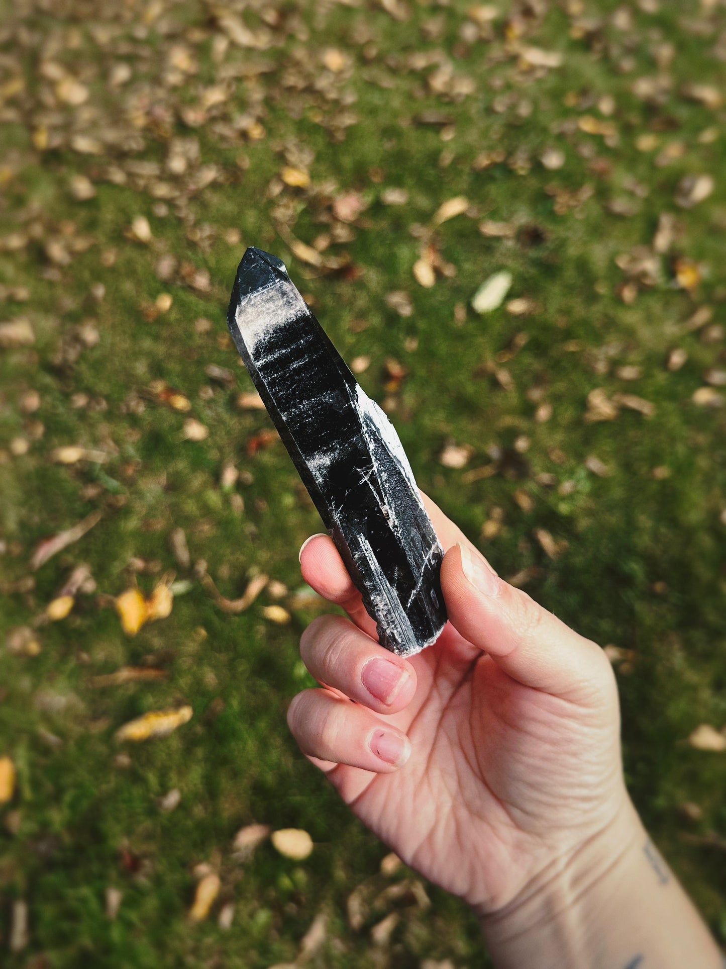 BLACK MONGOLIAN QUARTZ