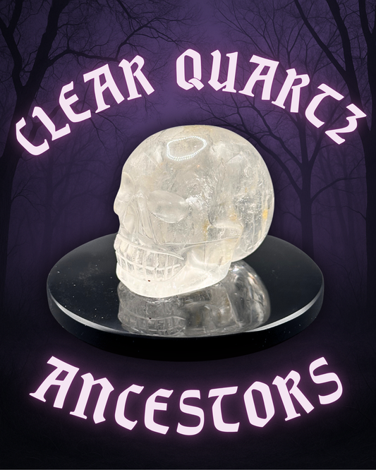 CLEAR QUARTZ ANCESTORS ~ CRYSTAL SKULL
