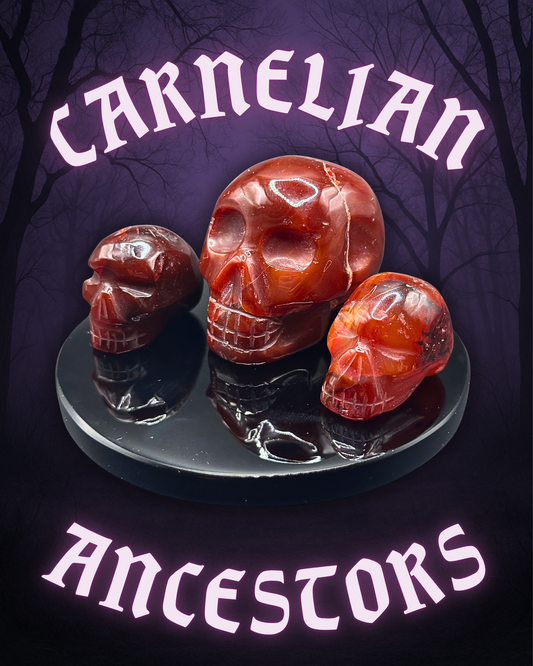 CARNELIAN ANCESTORS ~ CRYSTAL SKULL