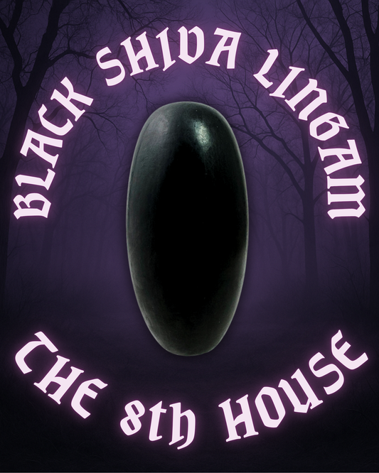 THE 8TH HOUSE ~ BLACK SHIVA LINGAM