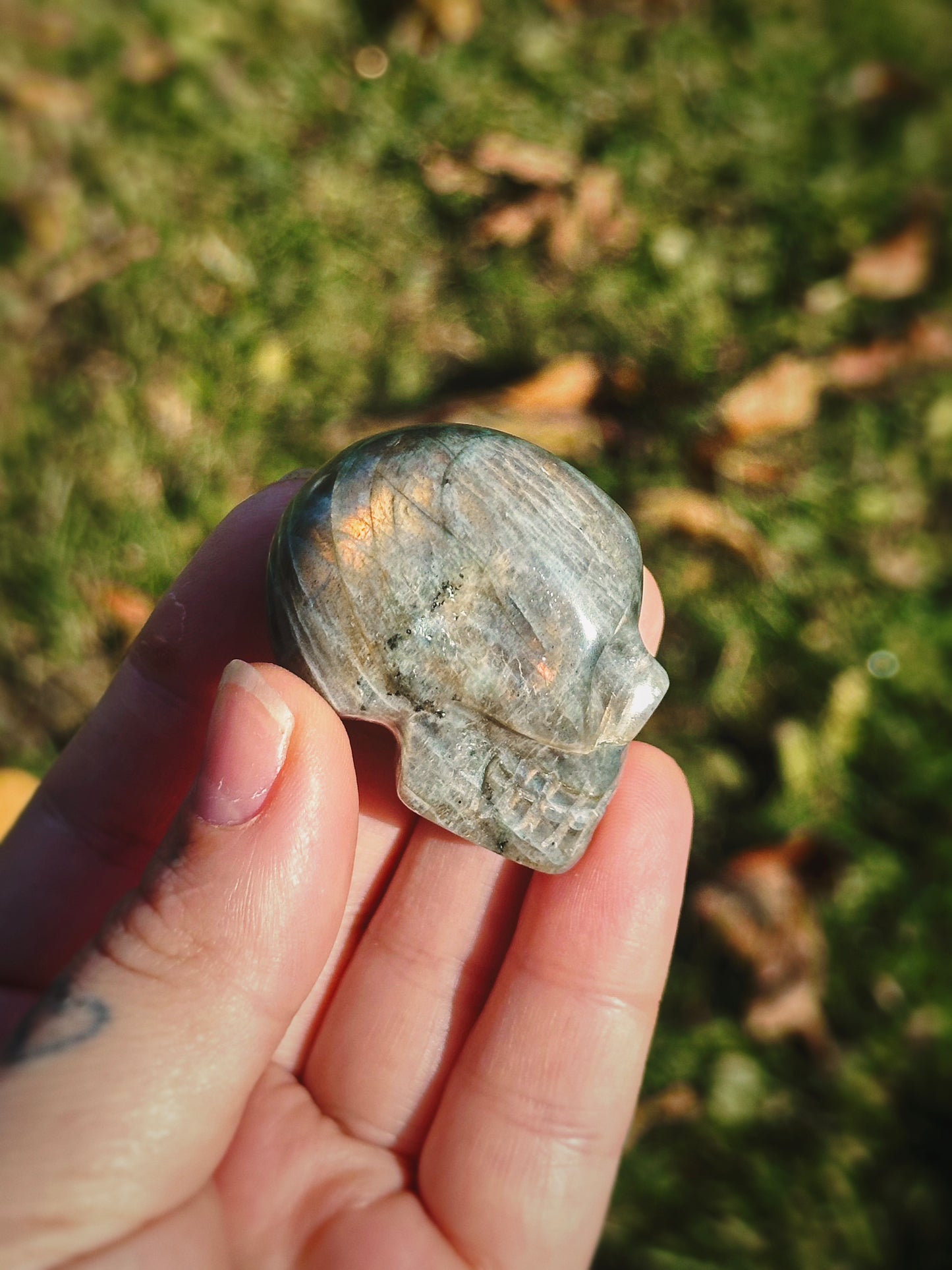 LABRADORITE ANCESTORS ~ CRYSTAL SKULL