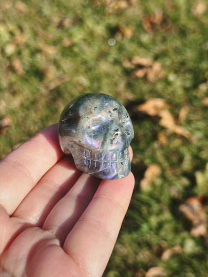 LABRADORITE ANCESTORS ~ CRYSTAL SKULL