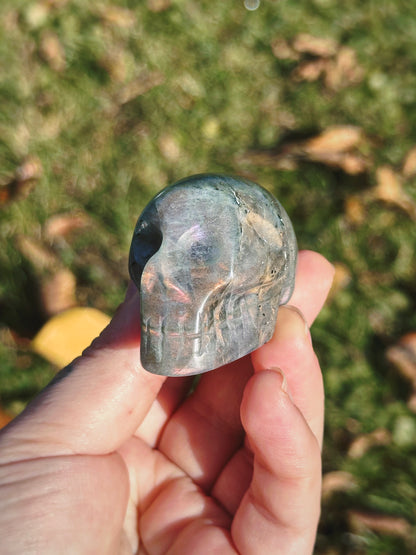 LABRADORITE ANCESTORS ~ CRYSTAL SKULL
