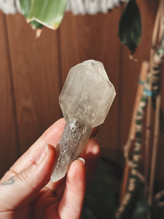 GRAVEHAWK ~ SMOKY QUARTZ SCEPTER