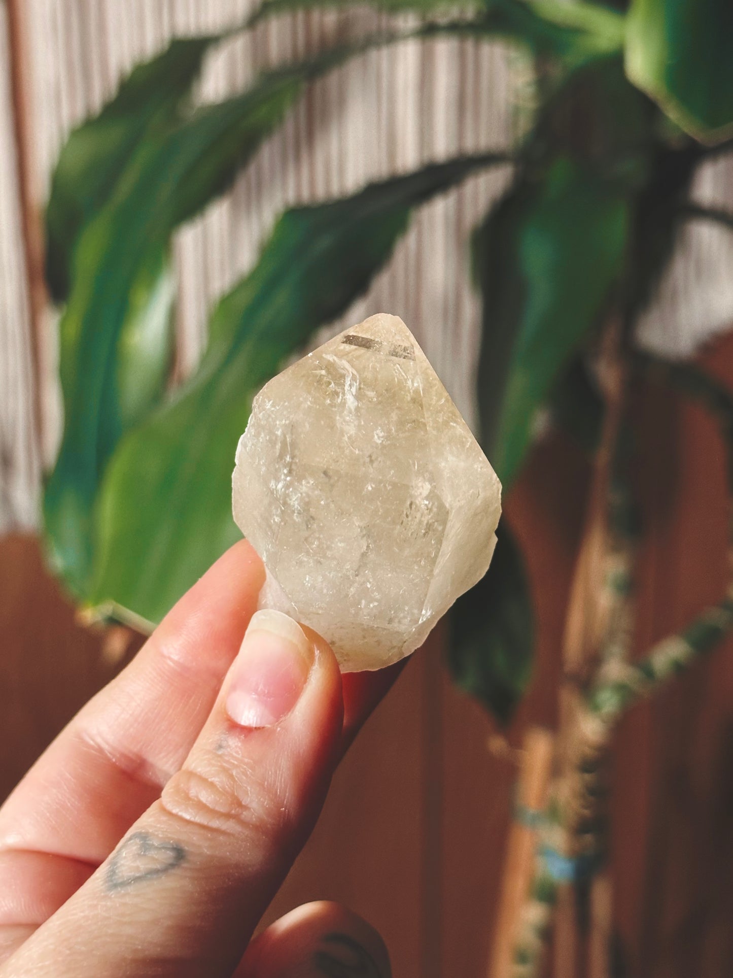 SHIMMERLING ~ CITRINE SCEPTER