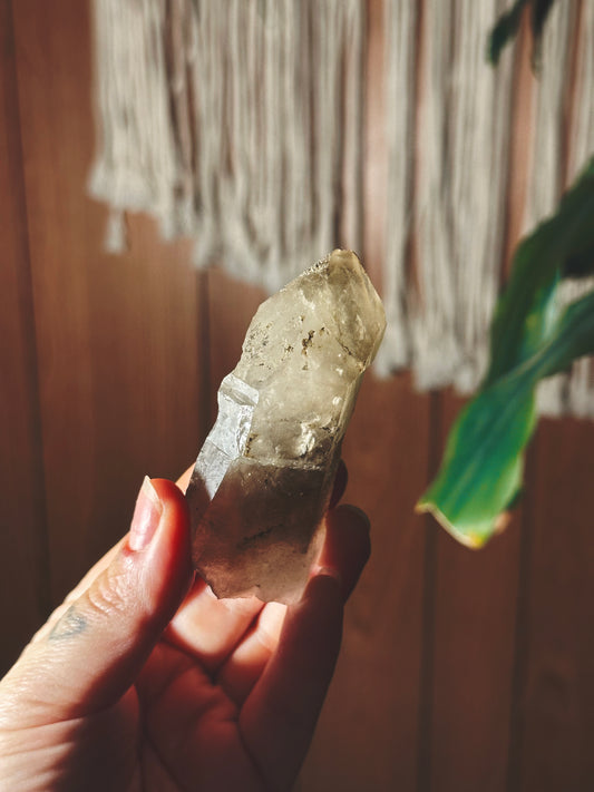 GOLDEN RIFT ~ SMOKY QUARTZ SCEPTER
