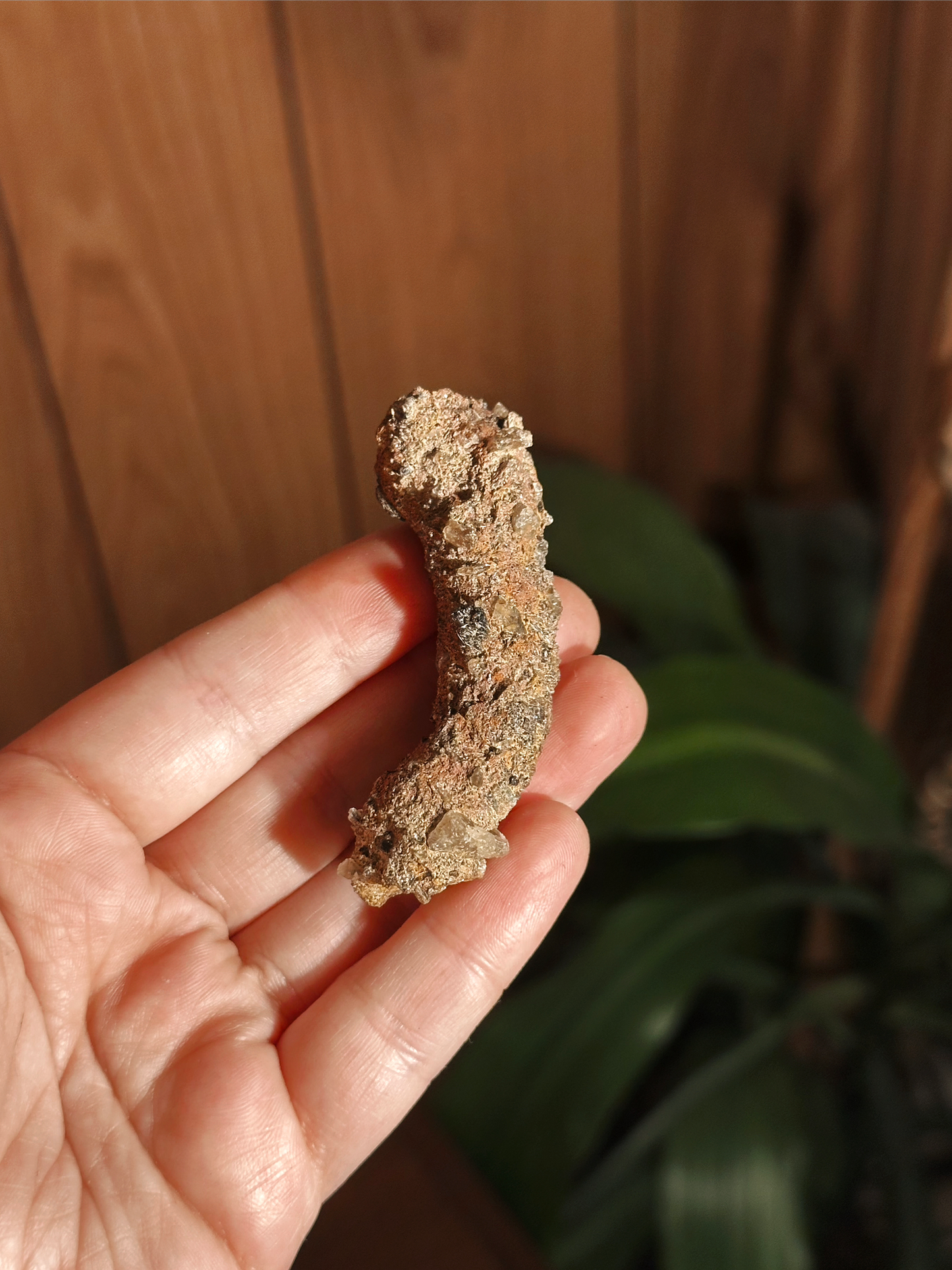 FULGURITE ~ PETRIFIED LIGHTNING