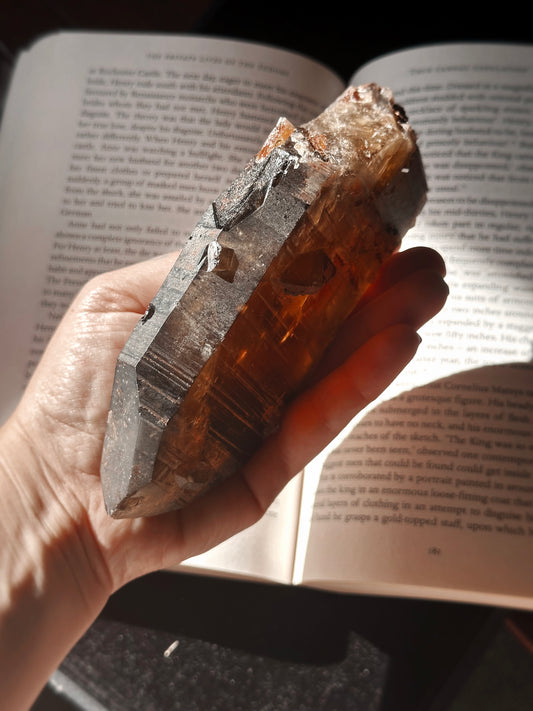 GOLDEN SCROLL ~ TABULAR CITRINE