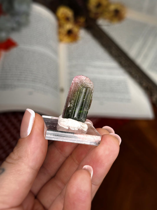 7.5g. WATERMELON TOURMALINE