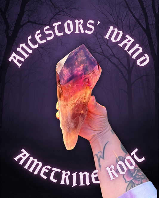 ANCESTORS’ WAND ~ AMETRINE ROOT