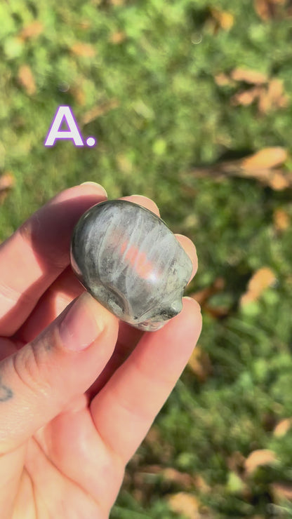 LABRADORITE ANCESTORS ~ CRYSTAL SKULL