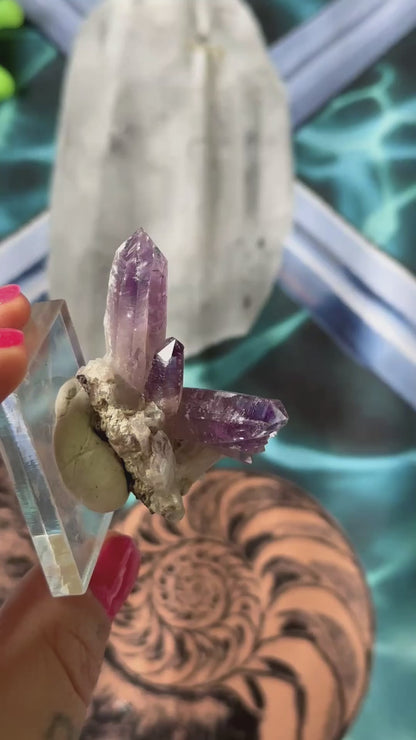 15g. VERA CRUZ AMETHYST CLUSTER